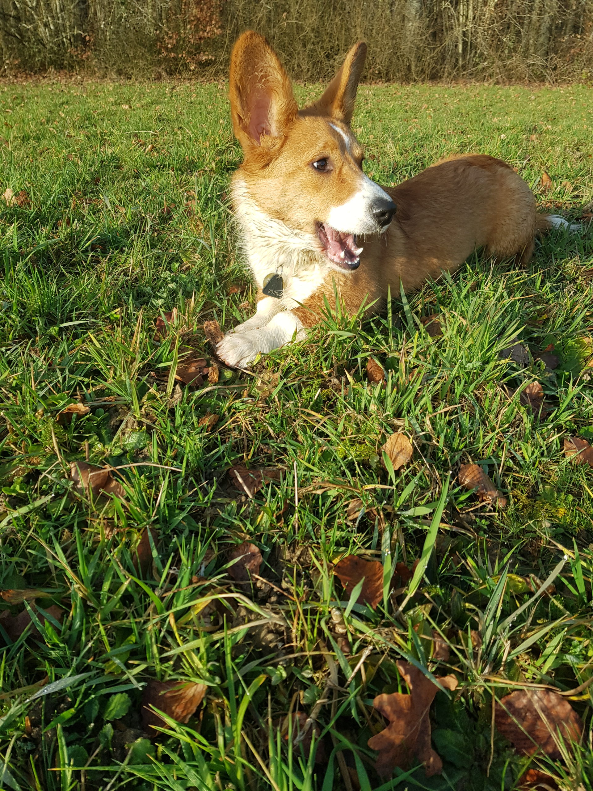 20210219_084759