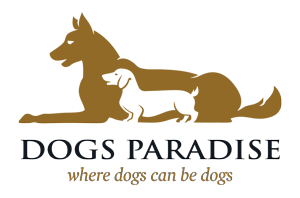 Dogs Paradise